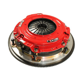 Magnes de darturien de milance an deros  laciniados